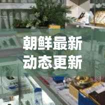朝鲜最新动态更新