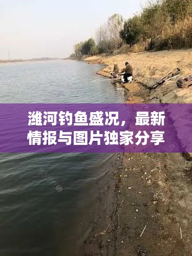 云屯鸟散 第3页