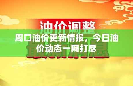 周口油价更新情报,今日油价动态一网打尽