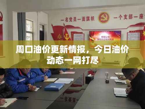 周口油价更新情报,今日油价动态一网打尽