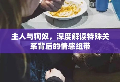 主人与狗奴，深度解读特殊关系背后的情感纽带