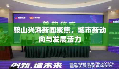 鞍山兴海新闻聚焦,城市新动向与发展活力