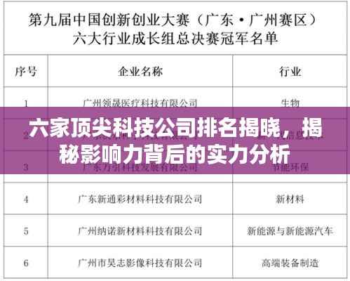 六家顶尖科技公司排名揭晓,揭秘影响力背后的实力分析