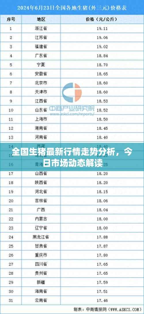 全国生猪最新行情走势分析,今日市场动态解读