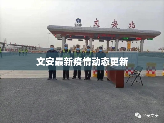 文安最新疫情动态更新