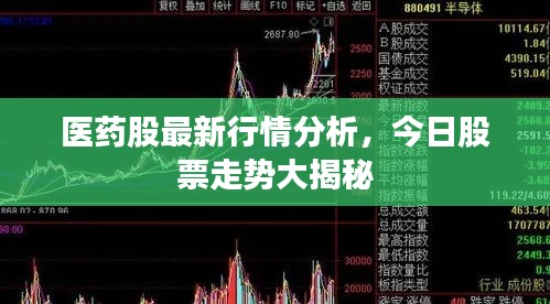 医药股最新行情分析,今日股票走势大揭秘