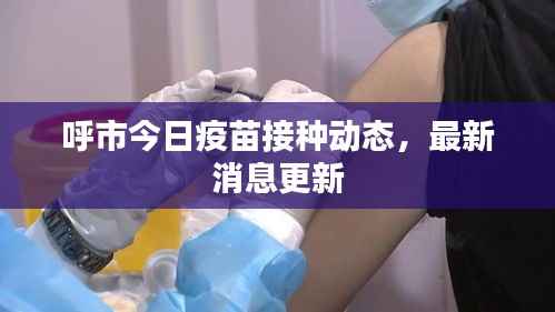呼市今日疫苗接种动态,最新消息更新
