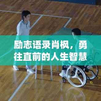 励志语录肖枫，勇往直前的人生智慧启示