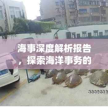 海事深度解析报告,探索海洋事务的奥秘