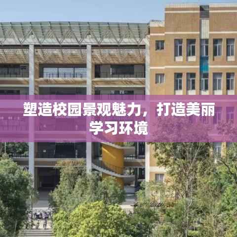 塑造校园景观魅力，打造美丽学习环境