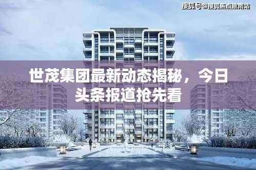 世茂集团最新动态揭秘,今日头条报道抢先看