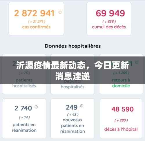 沂源疫情最新动态,今日更新消息速递