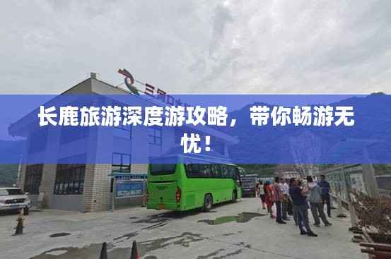 长鹿旅游深度游攻略,带你畅游无忧!