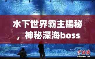 水下世界霸主揭秘，神秘深海boss力量排名与荣耀展现