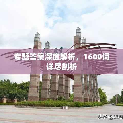 专题答案深度解析，1600词详尽剖析