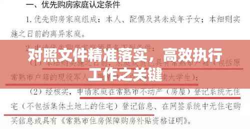 对照文件精准落实,高效执行工作之关键