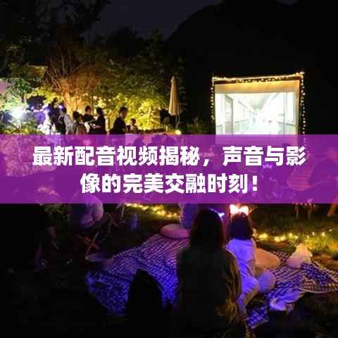 最新配音视频揭秘，声音与影像的完美交融时刻！
