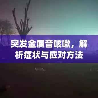 突发金属音咳嗽,解析症状与应对方法