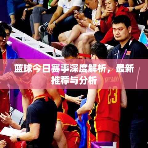 蓝球今日赛事深度解析,最新推荐与分析