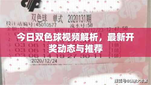 今日双色球视频解析,最新开奖动态与推荐