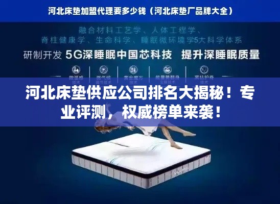 河北床垫供应公司排名大揭秘!专业评测,权威榜单来袭!