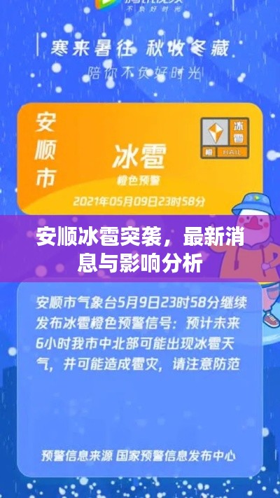 安顺冰雹突袭,最新消息与影响分析