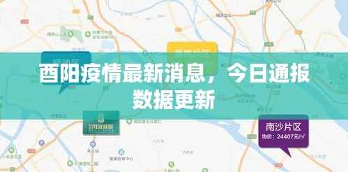 酉阳疫情最新消息，今日通报数据更新