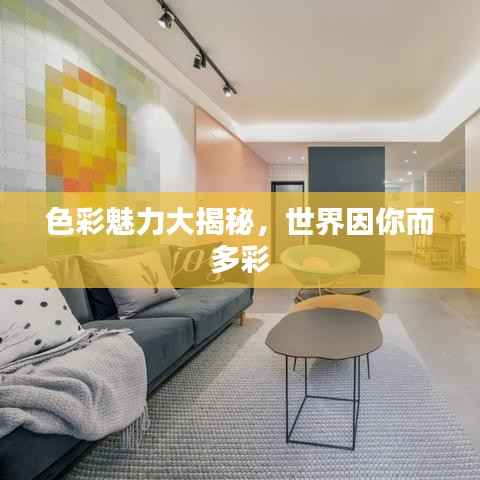 色彩魅力大揭秘，世界因你而多彩
