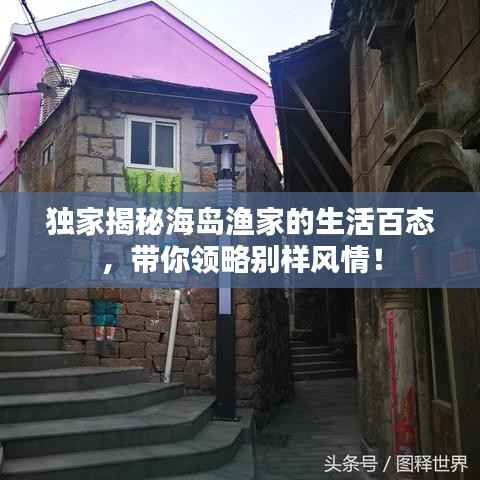 独家揭秘海岛渔家的生活百态,带你领略别样风情!