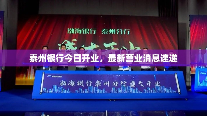 泰州银行今日开业,最新营业消息速递
