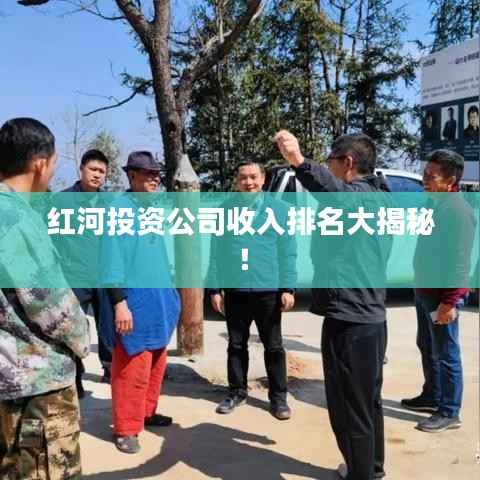 红河投资公司收入排名大揭秘!