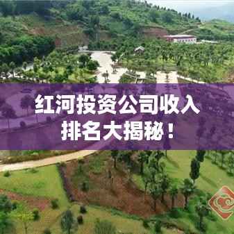 红河投资公司收入排名大揭秘!