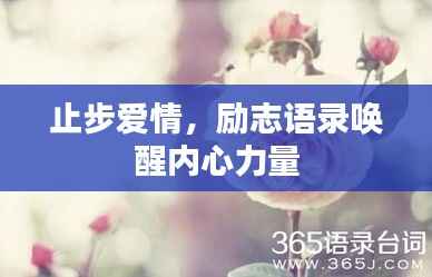 止步爱情，励志语录唤醒内心力量