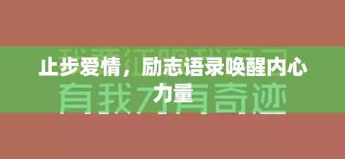 止步爱情,励志语录唤醒内心力量