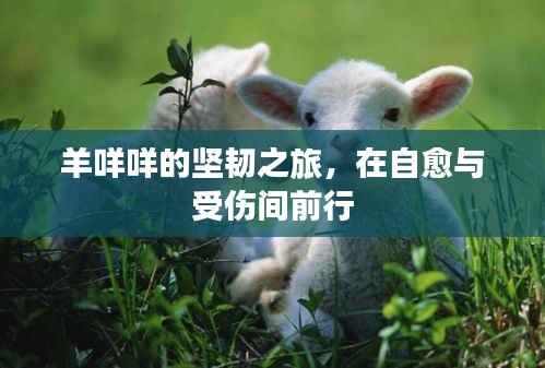 羊咩咩的坚韧之旅，在自愈与受伤间前行