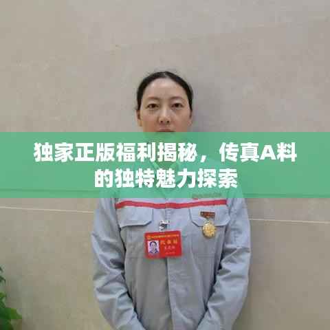 独家正版福利揭秘,传真A料的独特魅力探索