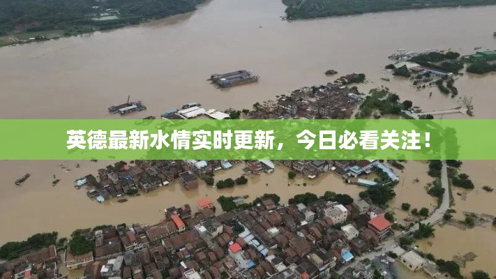 遍地开花 第4页