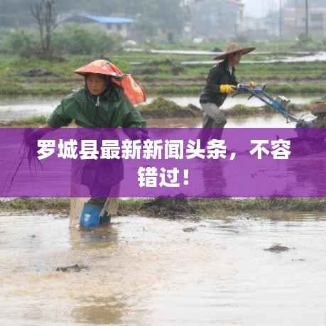 罗城县最新新闻头条,不容错过!