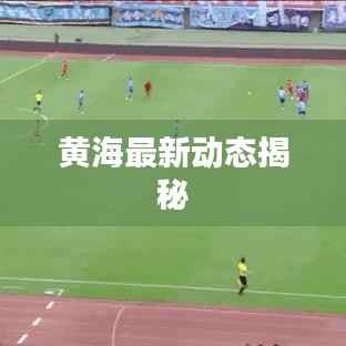 黄海最新动态揭秘