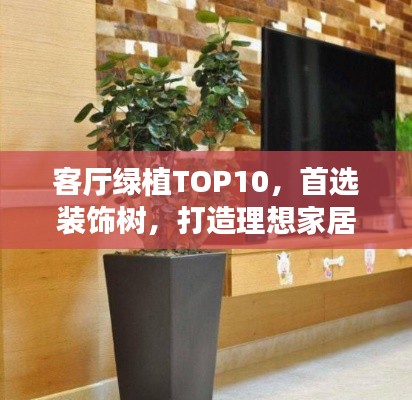 客厅绿植TOP10,首选装饰树,打造理想家居氛围