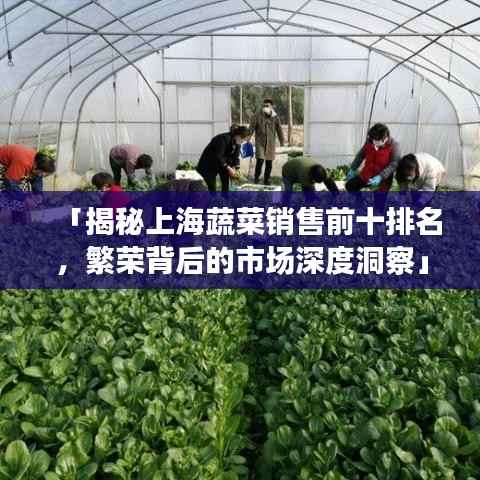 「揭秘上海蔬菜销售前十排名,繁荣背后的市场深度洞察」