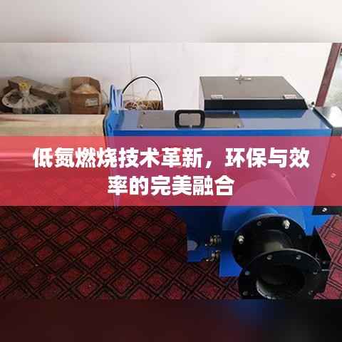 低氮燃烧技术革新，环保与效率的完美融合