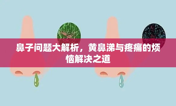 鼻子问题大解析,黄鼻涕与疼痛的烦恼解决之道