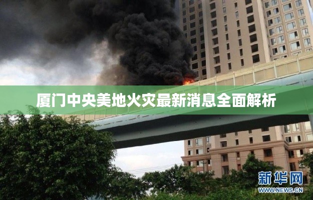 厦门中央美地火灾最新消息全面解析