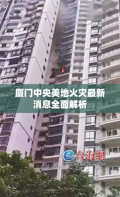 厦门中央美地火灾最新消息全面解析