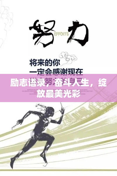 励志语录,奋斗人生,绽放最美光彩