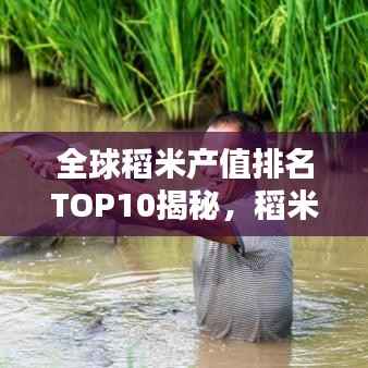 全球稻米产值排名TOP10揭秘，稻米产业概览
