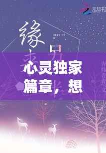 心灵独家篇章,想念的旋律与回响