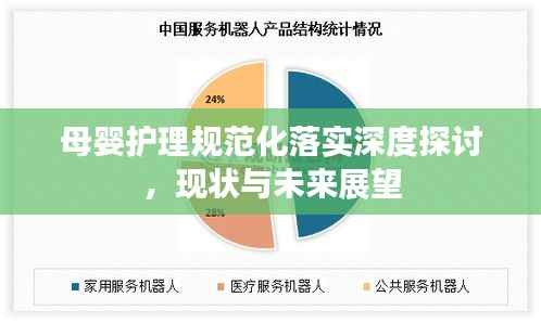 母婴护理规范化落实深度探讨,现状与未来展望