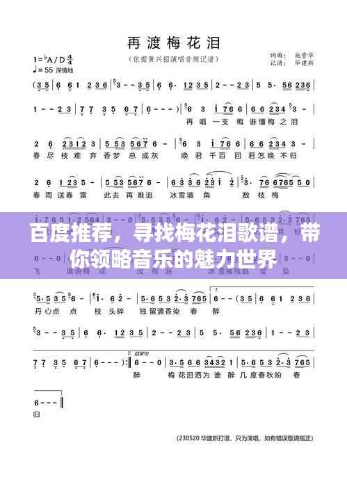 百度推荐,寻找梅花泪歌谱,带你领略音乐的魅力世界